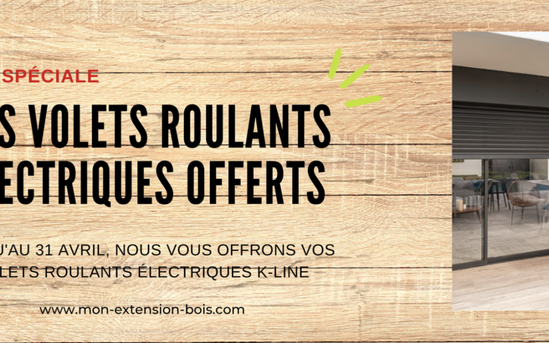 Newsletter Mon Extension Bois Mars 2023