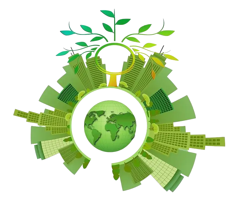 bois ecoresponsable