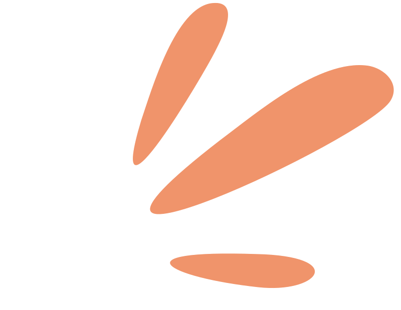 Extension clé en main 3 flaqueOrange